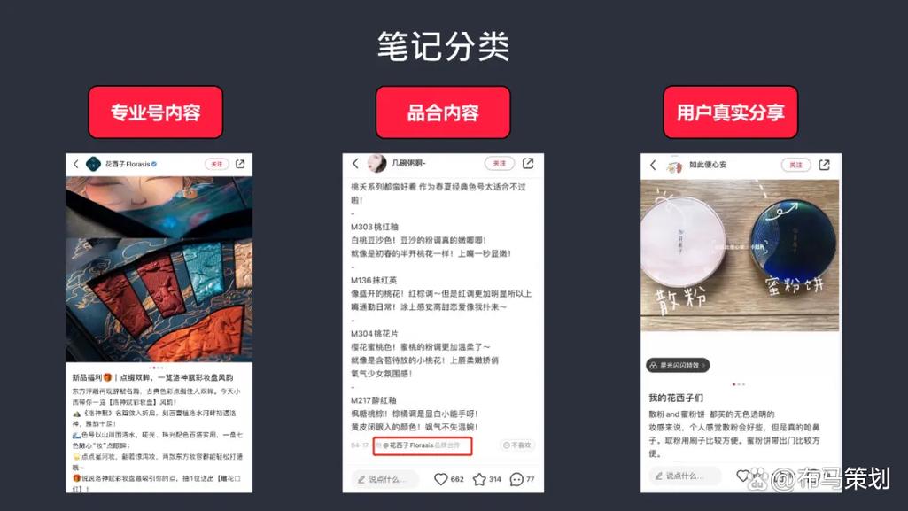 玩转小红书：在线刷粉技巧大解析