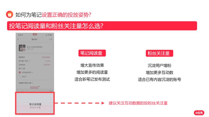 如何快速增加小红书粉丝？揭秘有效的买粉渠道。