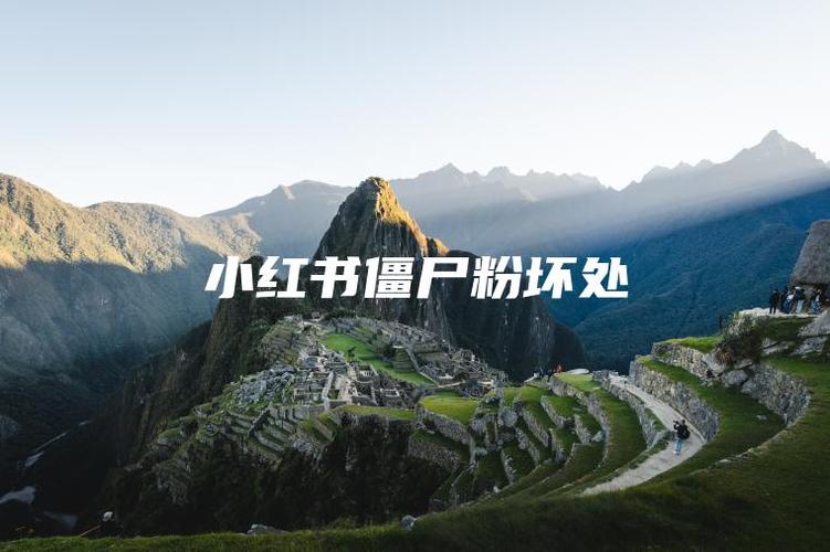 # 小红书运营：坚决抵制购买僵尸粉，掌握这些正道技巧才是关键