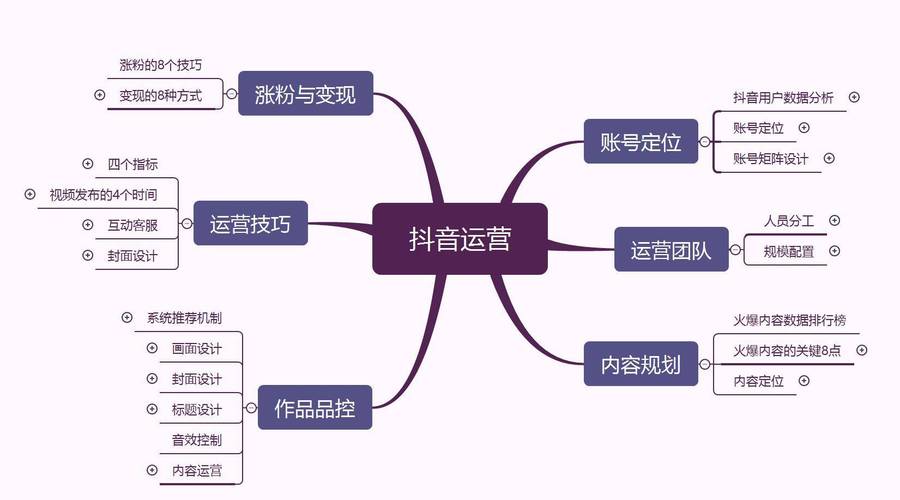 抖音有效粉丝步骤,抖音有效粉丝增长策略：迈向成功的关键步骤!