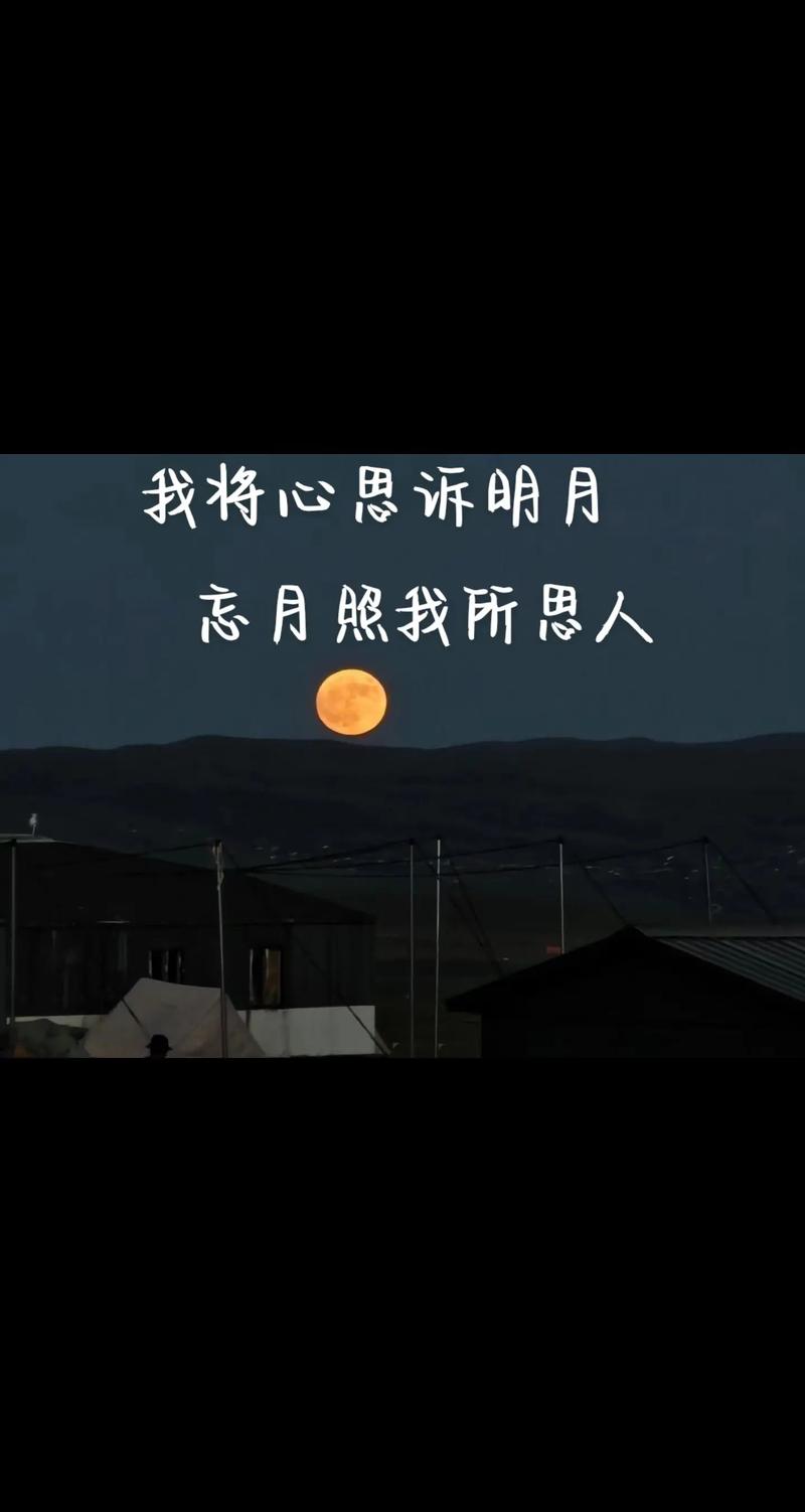 明月抖音刷赞