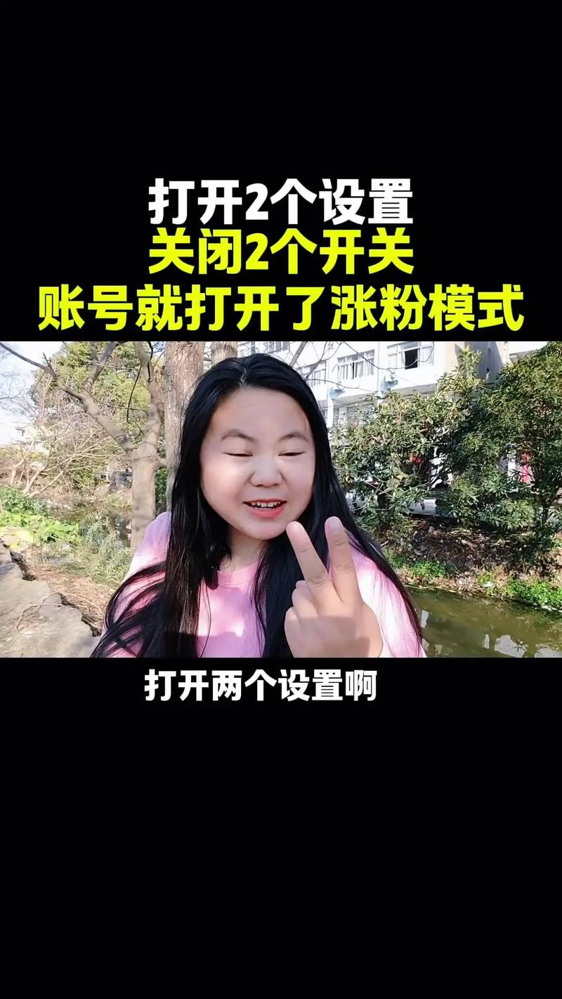 抖音数据粉怎么刷,抖音数据粉的获取与提升策略:从入门到精通!