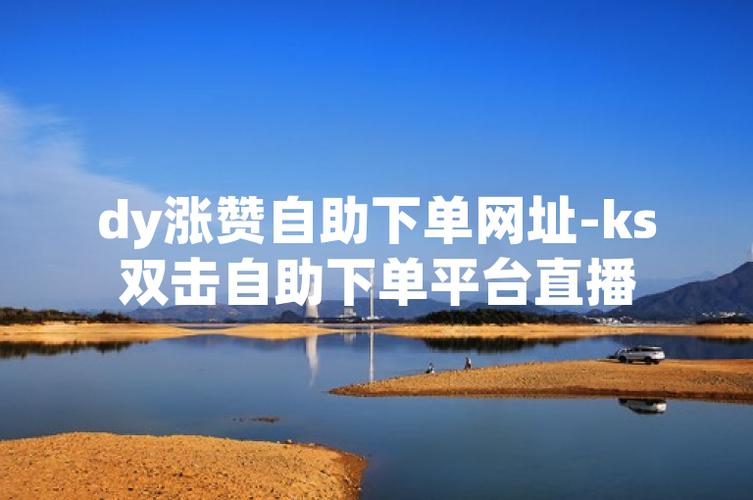 买赞自助下单平台网址