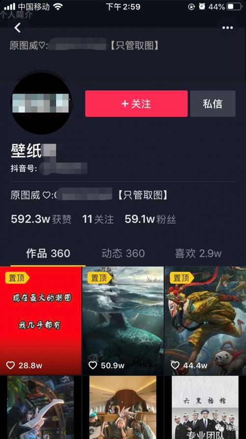 抖音播放量机器刷的,抖音播放量机器刷单现象深度解析!
