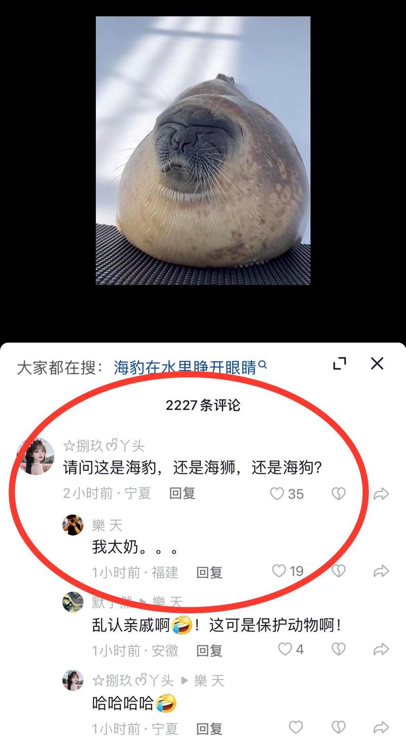 抖音被刷评论