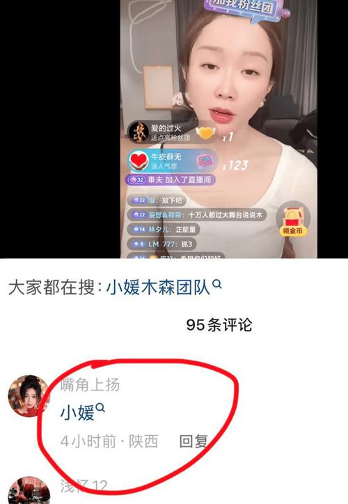 抖音快手刷粉