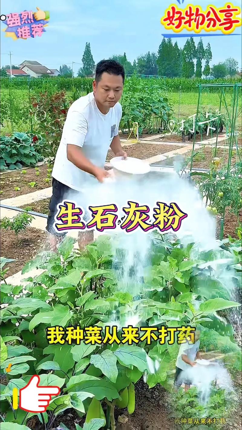 粉抖音刷
