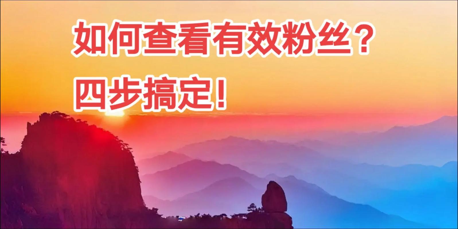 如何查看抖音有效粉丝,如何查看抖音有效粉丝:深入探究与策略指南!