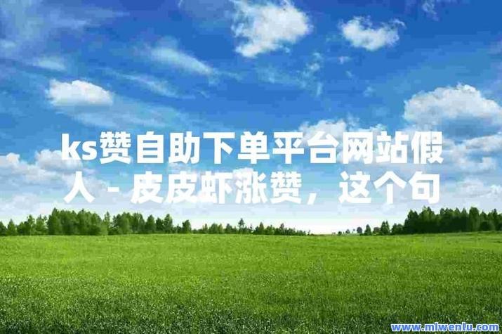 网易云自助下单平台推荐