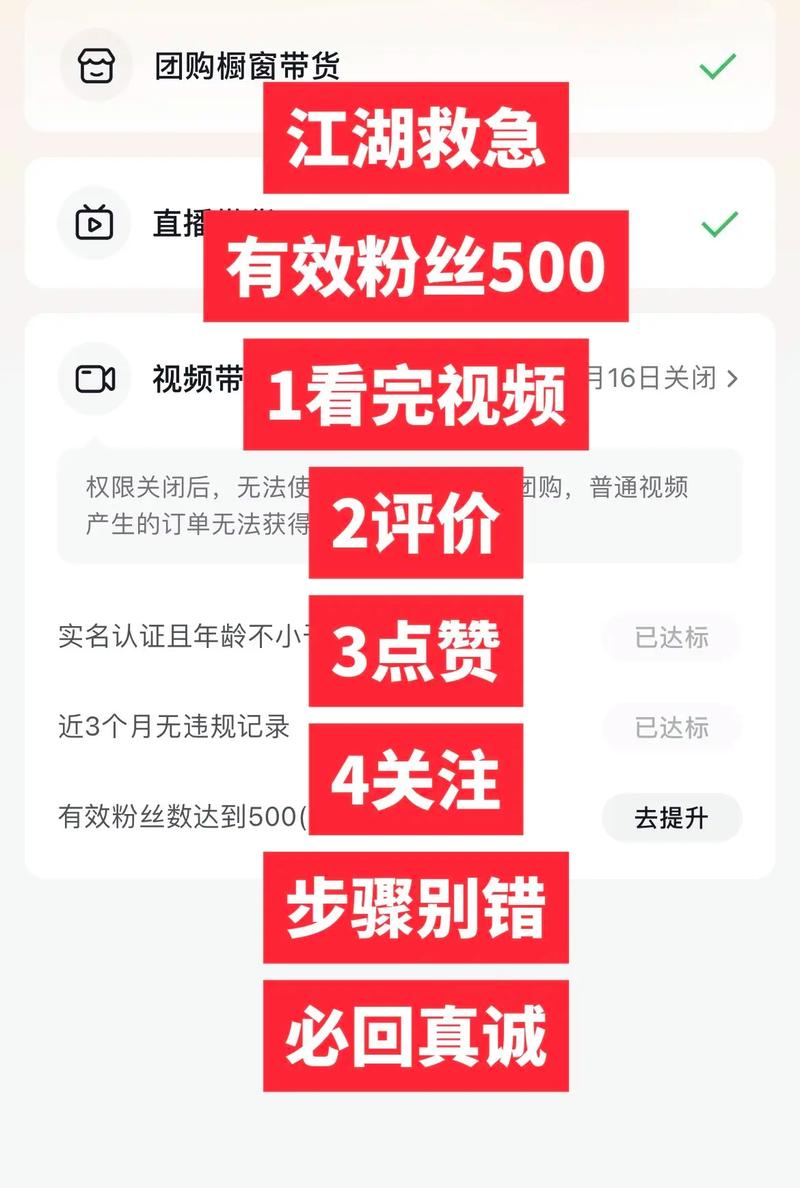 ### 标题:《500粉丝起步:抖音新人的冷启动策略与长期成长指南》