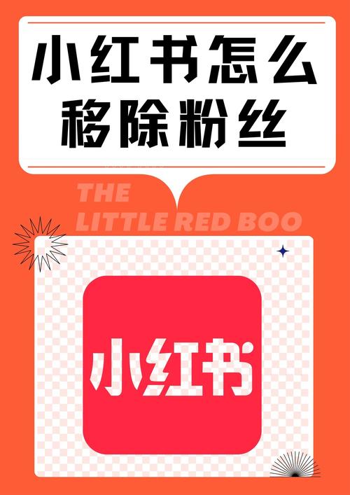 小红书粉丝购买平台实战攻略,轻松吸引粉丝关注
