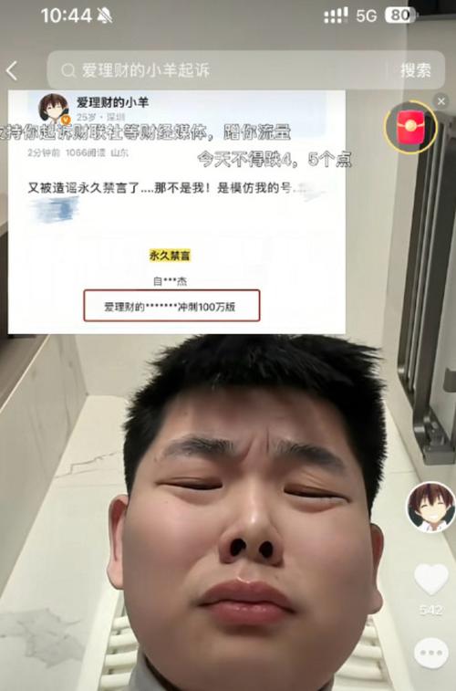 # 抖音涨粉迷途:在线购买“真实粉丝”的真相与危害