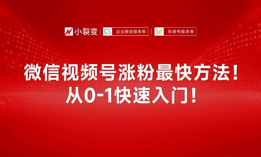 微博涨粉新秘诀:揭秘高效刷粉网站!