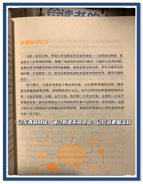 # 破译小红买书逻辑：解锁高效阅读与知识获取新路径