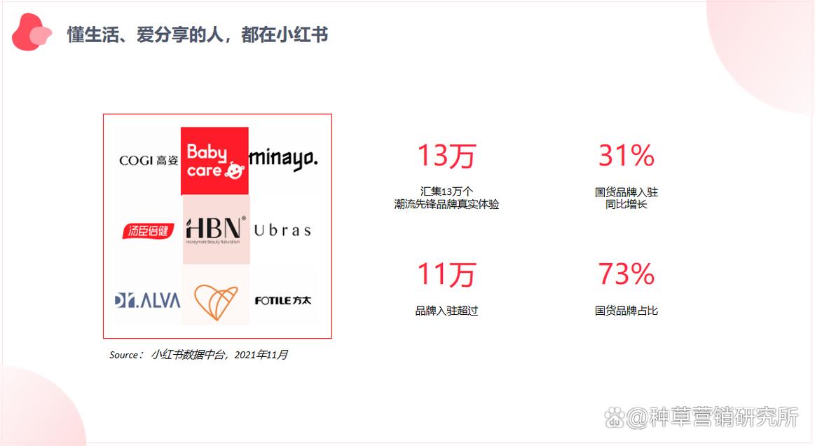标题:从0到10W+粉丝!小红书爆款达人养成指南:6大核心策略助你快速破圈