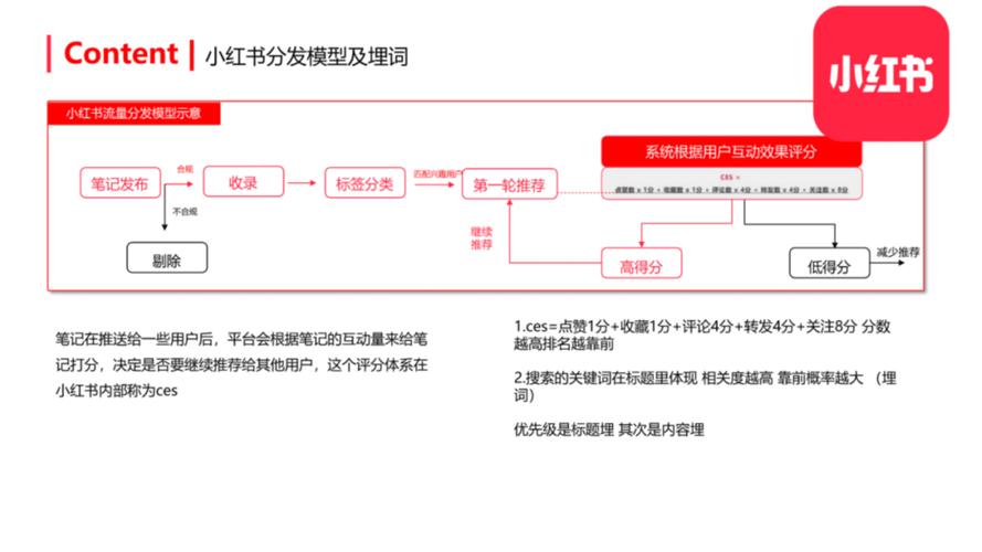标题:从0到10W+粉丝!小红书爆款达人养成指南:6大核心策略助你快速破圈