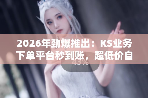 2026年劲爆推出：KS业务下单平台秒到账，超低价自助服务网站！