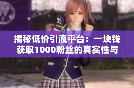 揭秘低价引流平台:一块钱获取1000粉丝的真实性与风险 揭秘低价引流平台:一块钱获取1000粉丝的真实性与风险