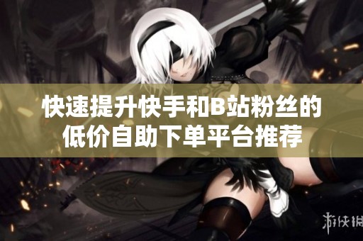 快速提升快手和B站粉丝的低价自助下单平台推荐 快速提升快手和B站粉丝的低价自助下单平台推荐