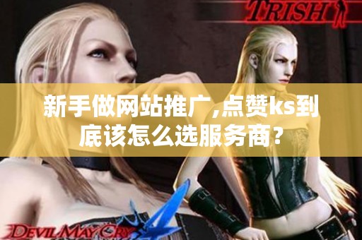 新手做网站推广,点赞ks到底该怎么选服务商？