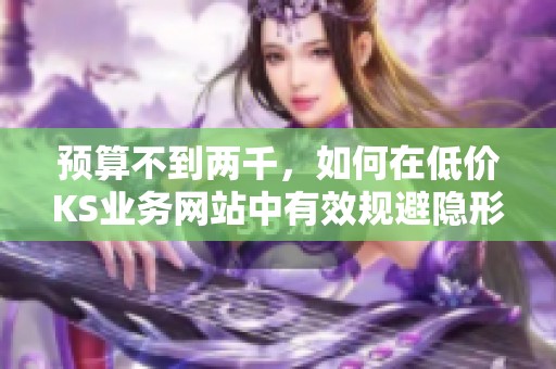 预算不到两千,如何在低价KS业务网站中有效规避隐形消费 预算不到两千,如何在低价KS业务网站中有效规避隐形消费