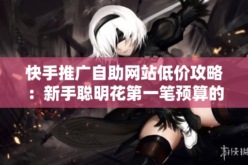 快手推广自助网站低价攻略：新手聪明花第一笔预算的实用指南