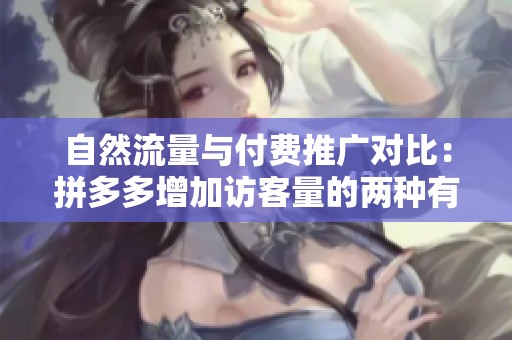自然流量与付费推广对比:拼多多增加访客量的两种有效策略分析 自然流量与付费推广对比:拼多多增加访客量的两种有效策略分析