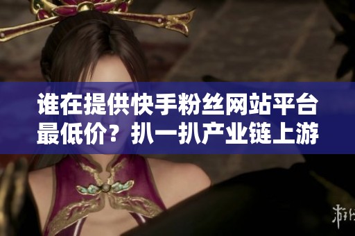 谁在提供快手粉丝网站平台最低价？扒一扒产业链上游