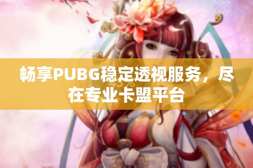 畅享PUBG稳定透视服务，尽在专业卡盟平台