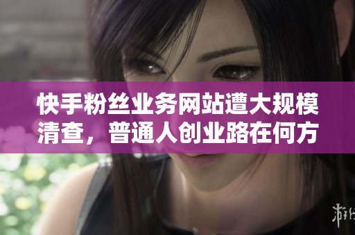 快手粉丝业务网站遭大规模清查,普通人创业路在何方? 快手粉丝业务网站遭大规模清查,普通人创业路在何方?