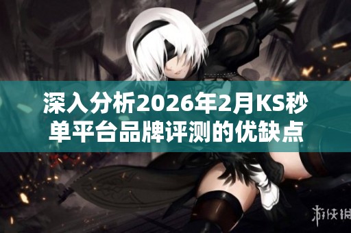 深入分析2026年2月KS秒单平台品牌评测的优缺点