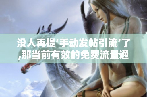 没人再提‘手动发帖引流’了,那当前有效的免费流量通道有哪些? 没人再提‘手动发帖引流’了,那当前有效的免费流量通道有哪些?