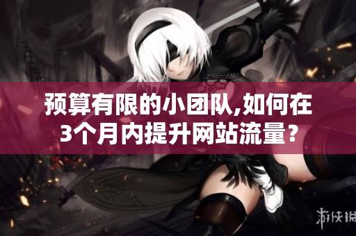 预算有限的小团队,如何在3个月内提升网站流量？