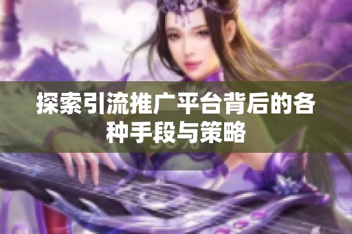 探索引流推广平台背后的各种手段与策略 探索引流推广平台背后的各种手段与策略