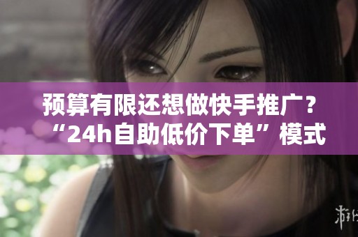 预算有限还想做快手推广？“24h自助低价下单”模式适合你吗？