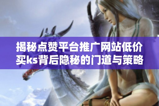 揭秘点赞平台推广网站低价买ks背后隐秘的门道与策略