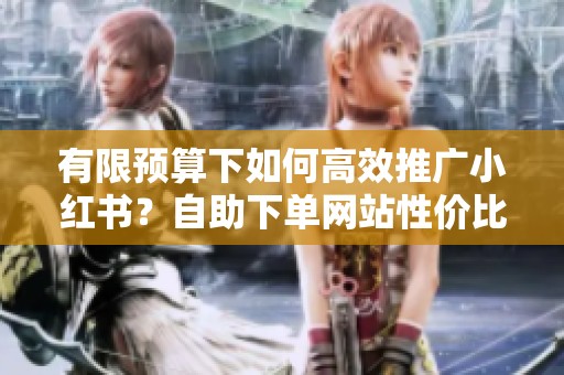 有限预算下如何高效推广小红书？自助下单网站性价比实测与评价