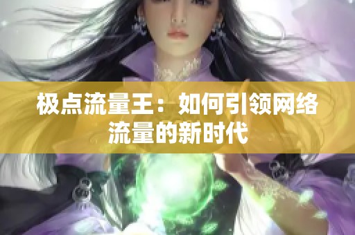 极点流量王：如何引领网络流量的新时代