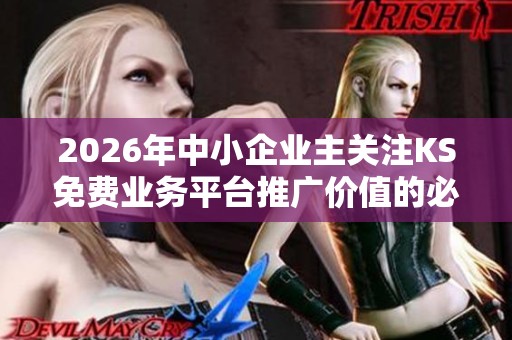 2026年中小企业主关注KS免费业务平台推广价值的必要性解析 2026年中小企业主关注KS免费业务平台推广价值的必要性解析