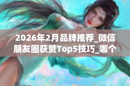 2026年2月品牌推荐_微信朋友圈获赞Top5技巧_哪个效果最好 2026年2月品牌推荐_微信朋友圈获赞Top5技巧_哪个效果最好
