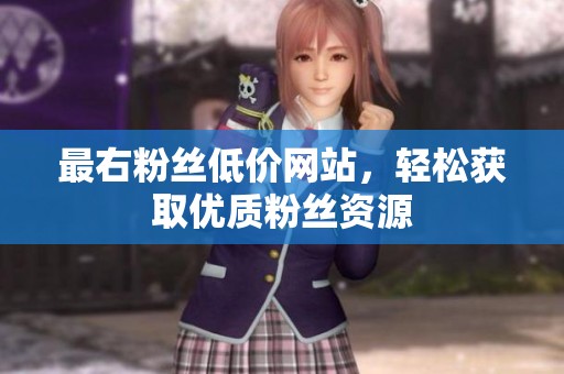 最右粉丝低价网站,轻松获取优质粉丝资源 最右粉丝低价网站,轻松获取优质粉丝资源
