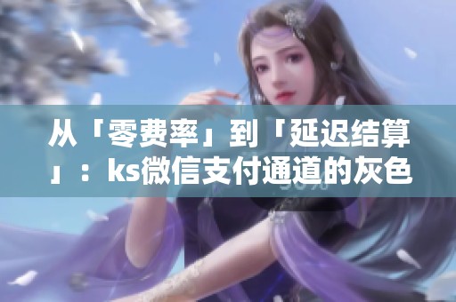 从「零费率」到「延迟结算」:ks微信支付通道的灰色缝隙有多宽? 从「零费率」到「延迟结算」:ks微信支付通道的灰色缝隙有多宽?