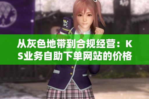 从灰色地带到合规经营：KS业务自助下单网站的价格策略转型探讨