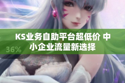 KS业务自助平台超低价 中小企业流量新选择 KS业务自助平台超低价 中小企业流量新选择