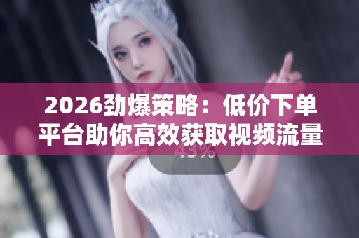 2026劲爆策略：低价下单平台助你高效获取视频流量的创新指南