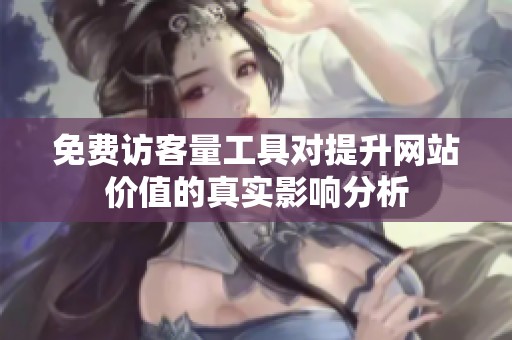 免费访客量工具对提升网站价值的真实影响分析
