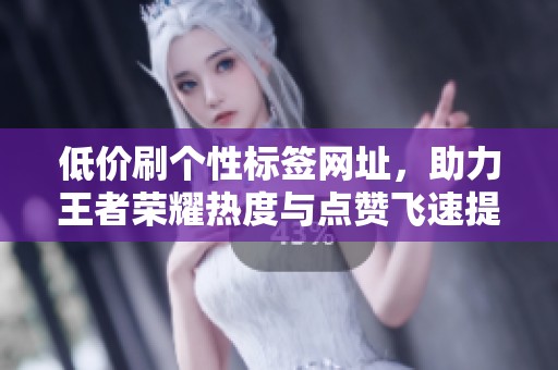 低价刷个性标签网址，助力王者荣耀热度与点赞飞速提升