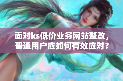 面对ks低价业务网站整改，普通用户应如何有效应对？