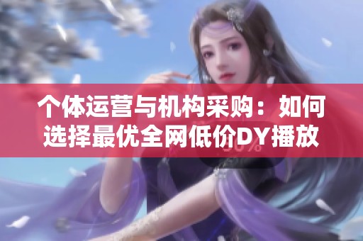 个体运营与机构采购：如何选择最优全网低价DY播放量网站