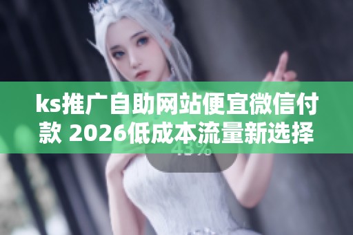 ks推广自助网站便宜微信付款 2026低成本流量新选择